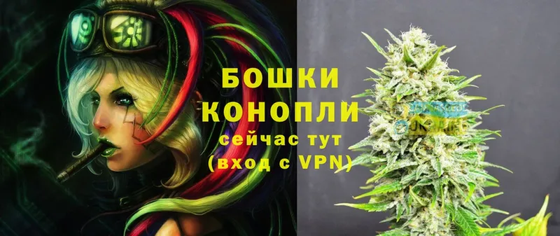 цена   Курильск  Марихуана THC 21% 